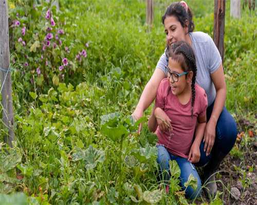 代孕供卵试管-试管短方案的具体流程(改良超长方案试管流程)
